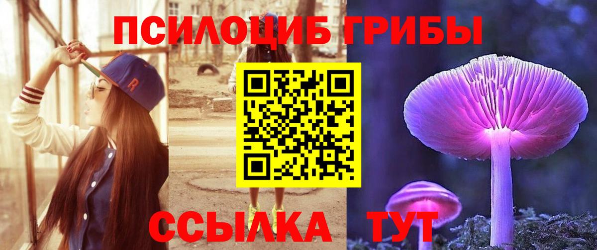 где купить наркотик  Псилоцибиновые грибы GOLDEN TEACHER  Вход с VPN  Альметьевск 